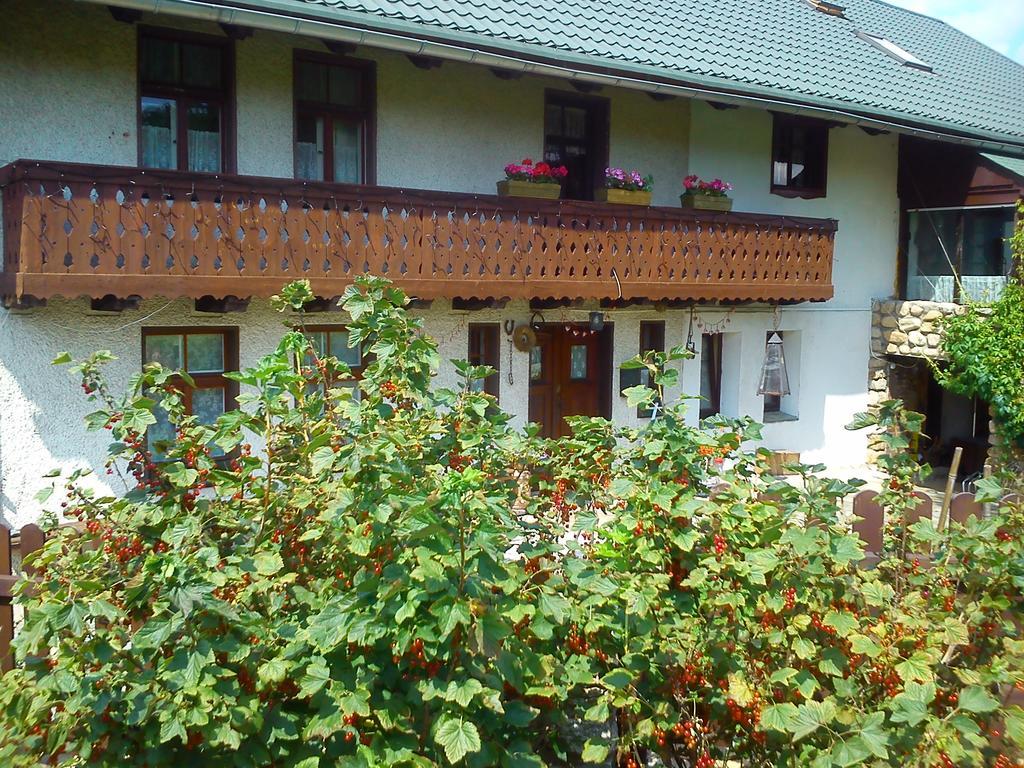 Pensjonat Nostalgia Sosnówka Extérieur photo