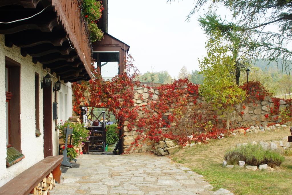 Pensjonat Nostalgia Sosnówka Extérieur photo