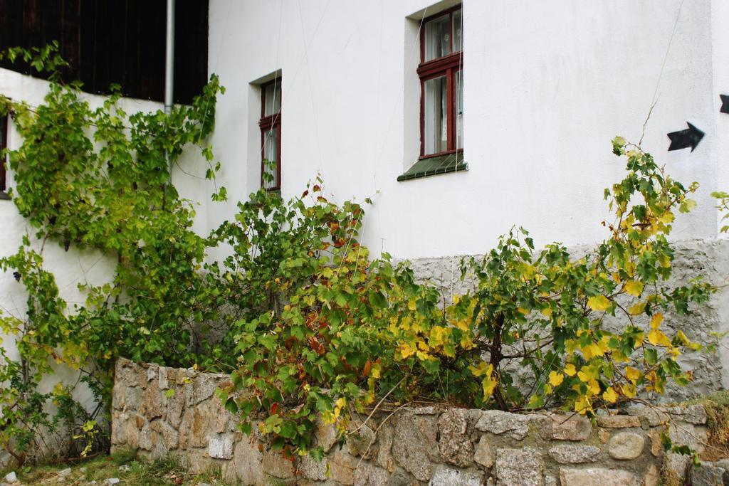 Pensjonat Nostalgia Sosnówka Extérieur photo